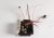 Súprava elektroniky Haswing Cayman B55 PCB