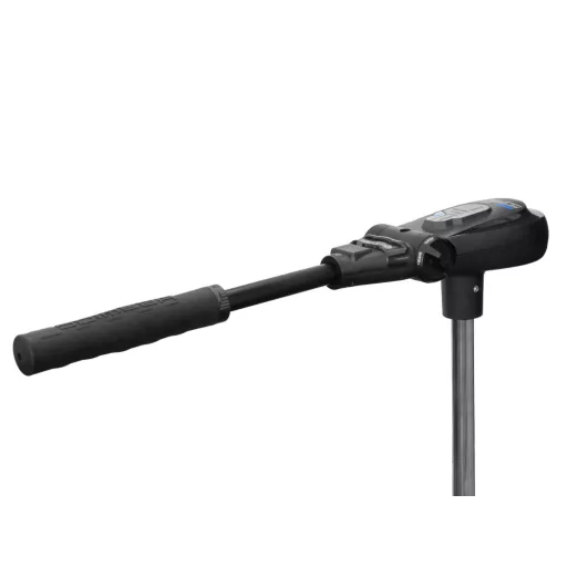 Haswing Protruar 3.0 110 libier 24V