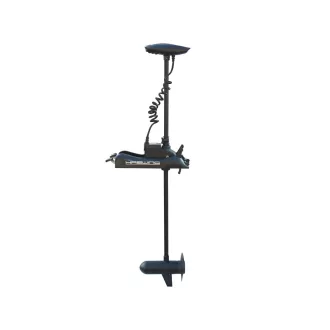 Haswing Cayman B80 D 137 cm