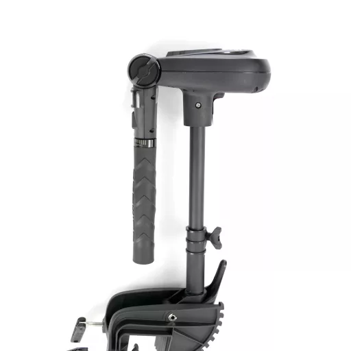 Haswing Protruar Genius 55 libier