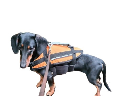 Flotačná pomôcka pre psov 15-40 kg oranžová