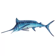 Cardfish 82cm VVL
